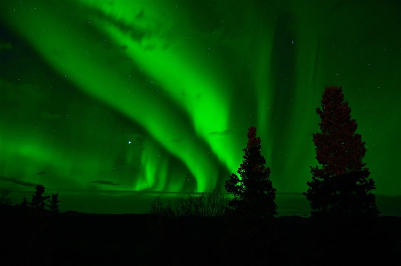 Aurora Celebration